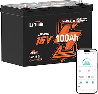 Litime 16V 100Ah LiFePO4 Lithium Battery with Bluetooth 5.0
