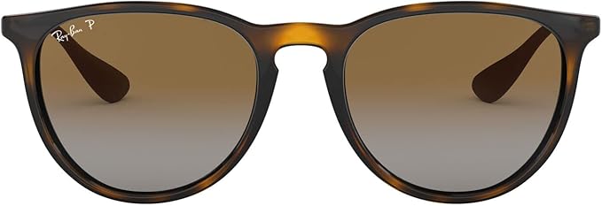Ray-Ban Rb4171 Erika Sunglasses