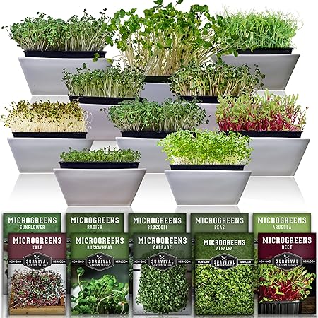 Microgreen Seeds Variety Pack – Heirloom Types