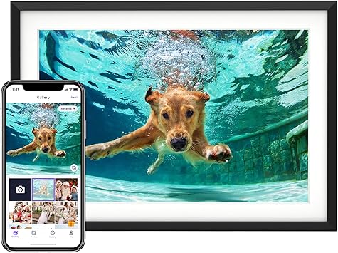 Euphro 10.1” Digital Picture Frame