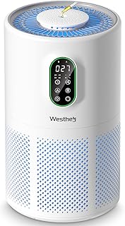 WESTHEY H13 True HEPA Air Purifier