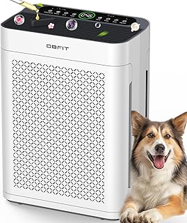 DBFIT HEPA Air Purifier for Home