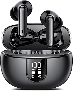 Ai Translation Earbuds – 164 Languages