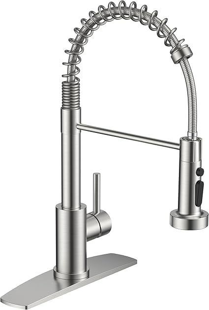 FORIOUS Kitchen Faucet with Sprayer