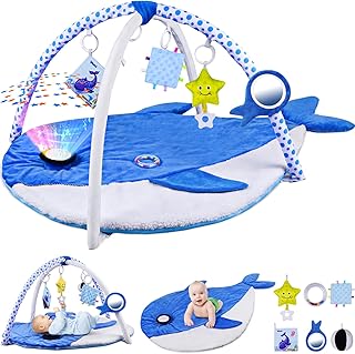 Baby Play Gym & Activity Mat