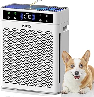 PRASKY HEPA Air Purifier for Home