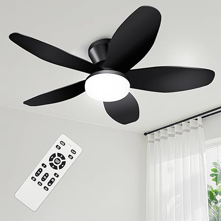 Yoedivu Ceiling Fan with Lights