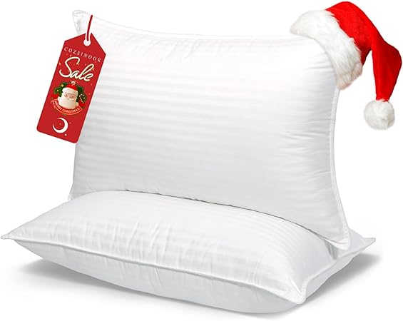 COZSINOOR Queen Size Bed Pillows Set