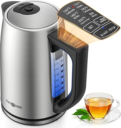Electric Kettle with Temperature Control