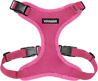 Voyager Step-in Pet Harness – All Weather Mesh, Adjustable Step in Harness for Cats and Dogs by Best Pet Supplies – Fuchsia, L — 17% OFF | Only $11.00