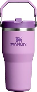 STANLEY IceFlow 2.0 Flip Straw Tumbler, 20 oz, Lilac | Easy Carry Handle | Twist On Lid and Flip Up Straw | Leak Resistant Water Bottle | Insulated Stainless Steel | BPA-Free — 50% OFF | Only $15.00